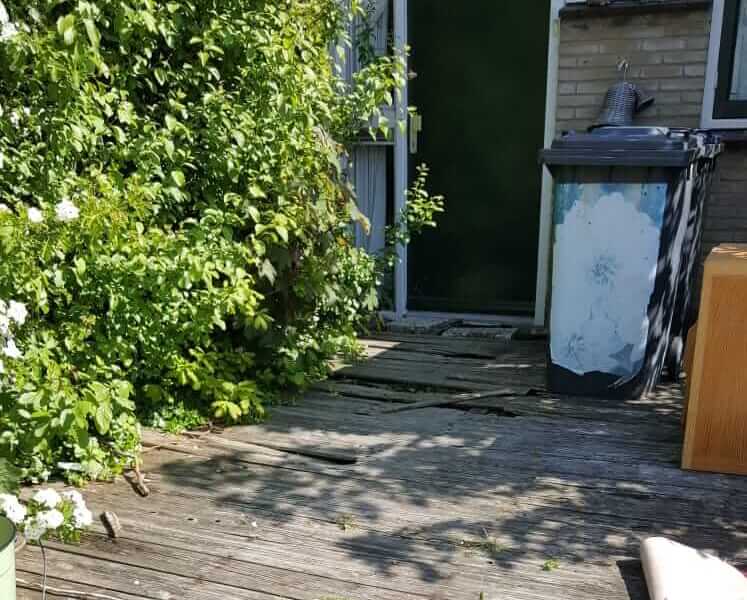 KIMG tuin shirley